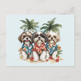 Shih Tzu-hundar som bär hawaiijackor Vykort