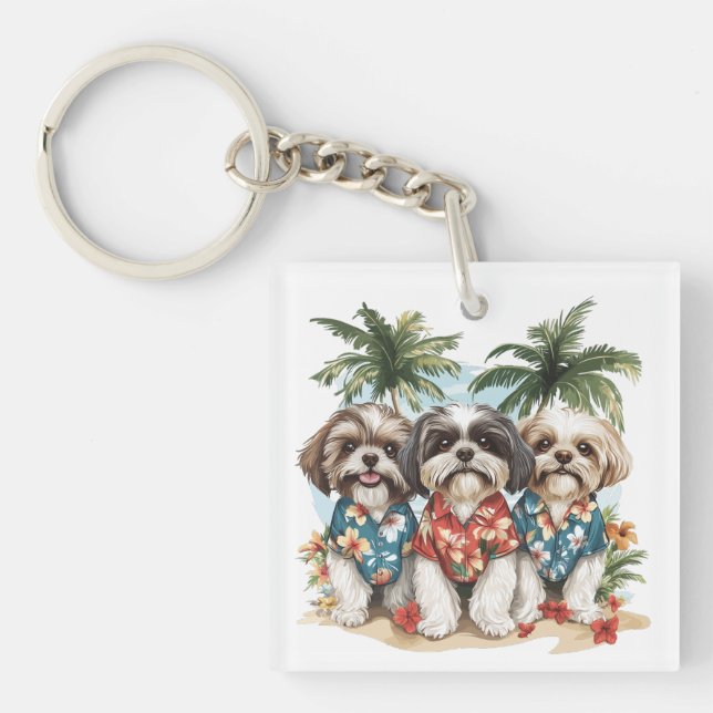 Shih Tzu Hundar som bär hawaiiskor (Framsidan)