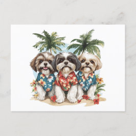 Shih Tzu Hundar Wearing Hawaiian Shirts Vykort