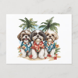 Shih Tzu Hundar Wearing Hawaiian Shirts Vykort