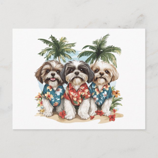 Shih Tzu Hundar Wearing Hawaiian Shirts Vykort (Framsida)