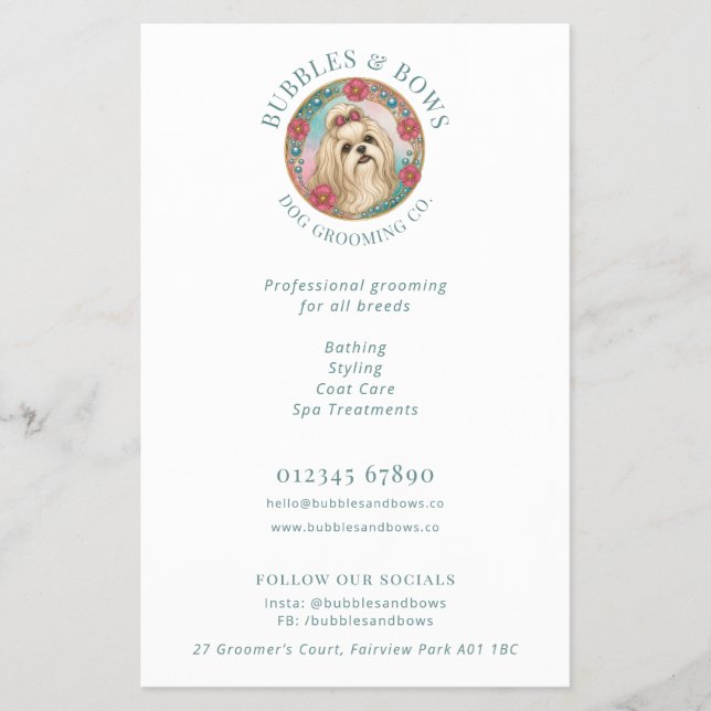 Shih Tzu Hundsalong Flyer (Framsidan)