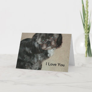 Shih Tzu i Kärlek Du kort
