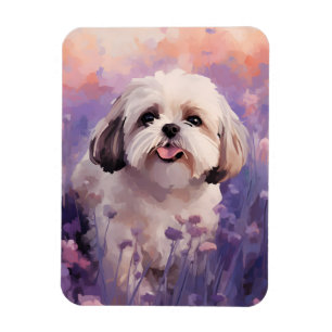 Shih Tzu i Lavender fält Magnet
