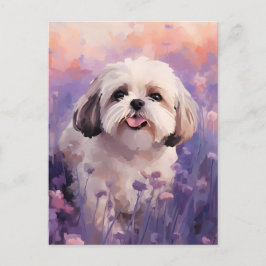 Shih Tzu i Lavender fält Vykort