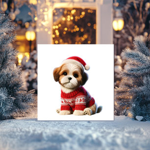 Shih Tzu i röd tröja Julkort