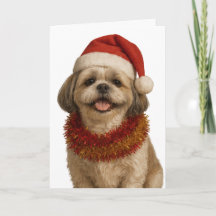 Shih Tzu i Santa hatt julkort