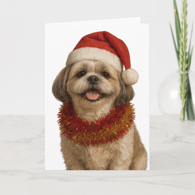 Shih Tzu i Santa hatt julkort Kort (Framsida)