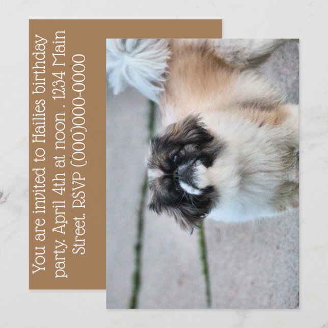 Shih Tzu Inbjudningar (Fram/baksida)