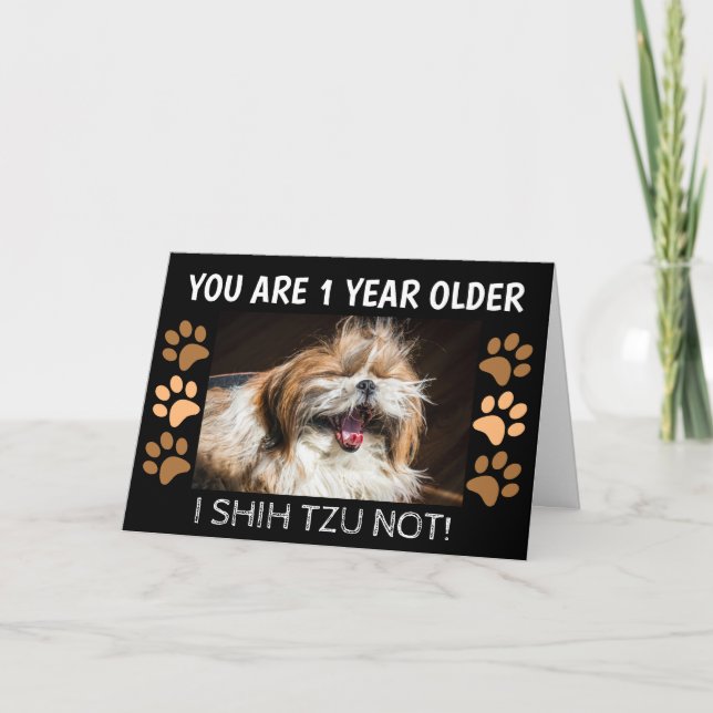 Shih tzu, inte rolig födelsedag 1 år äldre Hälsnin Kort (Framsida)