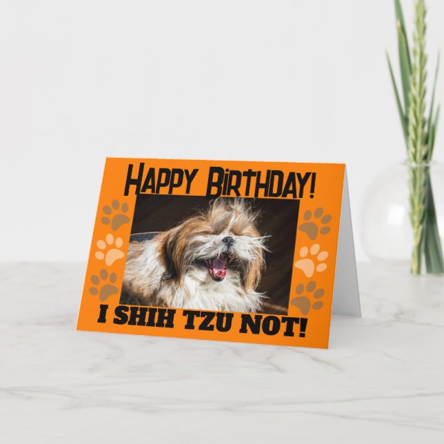 Shih tzu inte rolig födelsedags hälsning kort (Framsida)