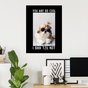 Shih Tzu Inte rolig söt hundälskare Anpassad foto Poster