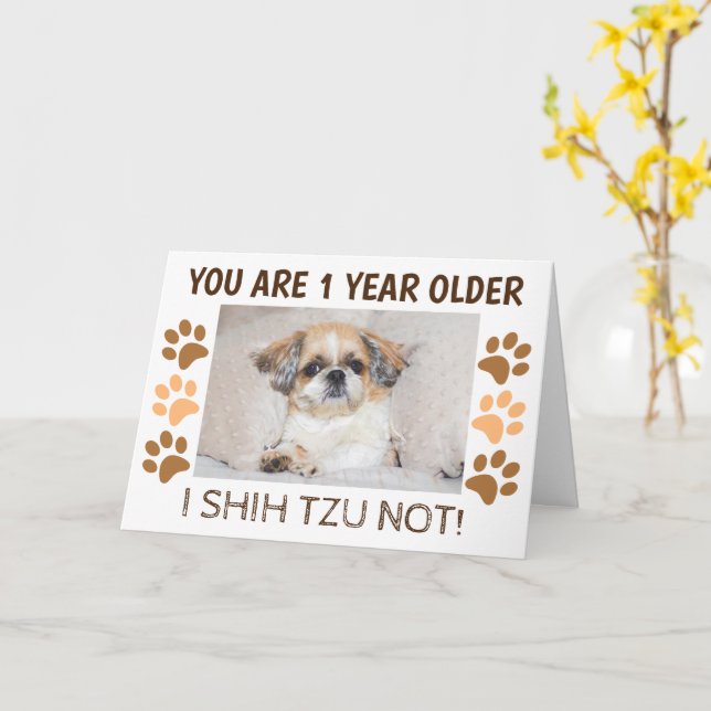 Shih tzu, inte söt födelsedag 1 år äldre Hälsning Kort (Gul blomma)