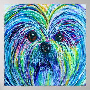 Shih Tzu Intense Färg Poster