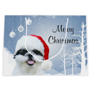 Shih Tzu jul