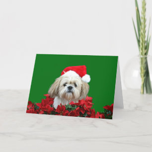 Shih Tzu jul Helgkort
