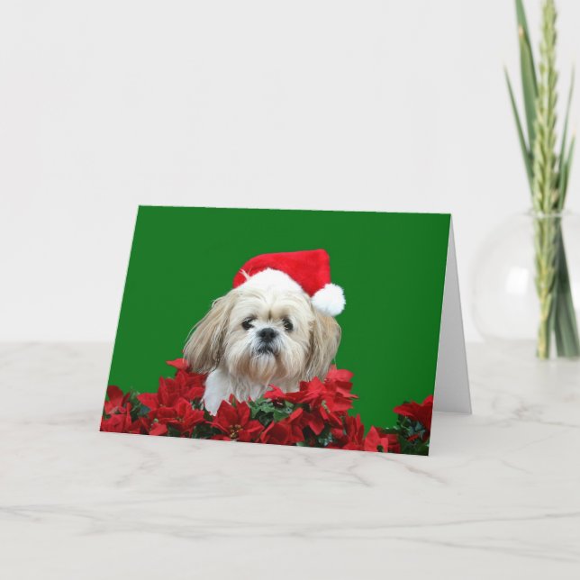 Shih Tzu jul Helgkort (Framsida)