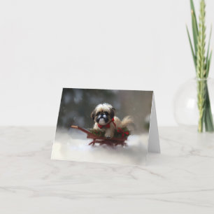 Shih Tzu jul snö vinter Kort