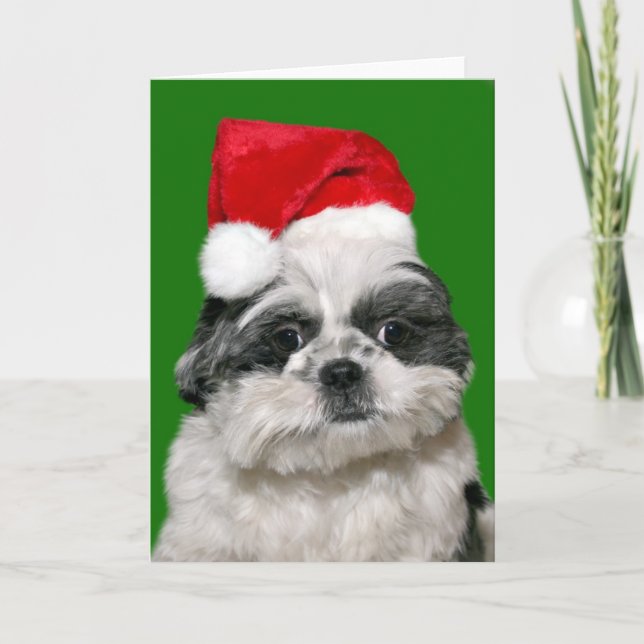Shih Tzu-julen Helgkort (Framsida)