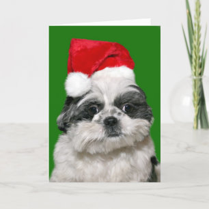 Shih Tzu-julen Helgkort