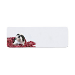 Shih Tzu-julen Returadress Etikett