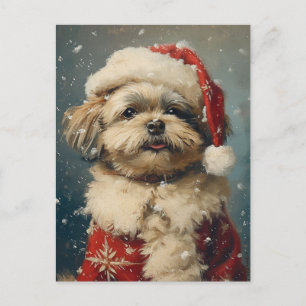Shih Tzu-julen Vykort