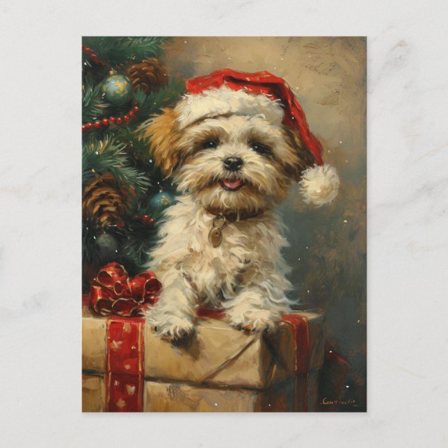 Shih Tzu-julen Vykort (Framsida)