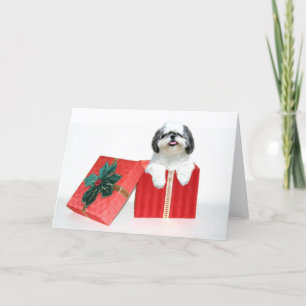 Shih Tzu julgåva Helgkort