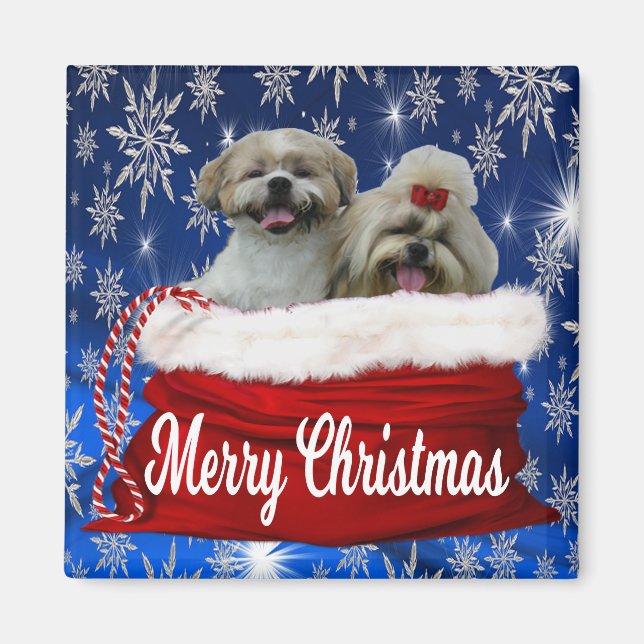 Shih tzu-julgranen magnet (Framsidan)