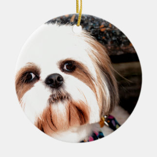 Shih Tzu Julgransprydnad Keramik