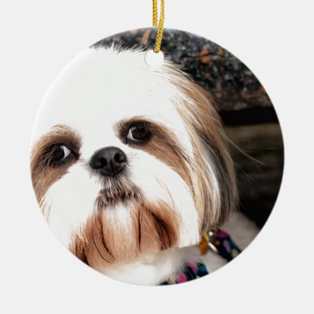 Shih Tzu Julgransprydnad Keramik (Framsidan)