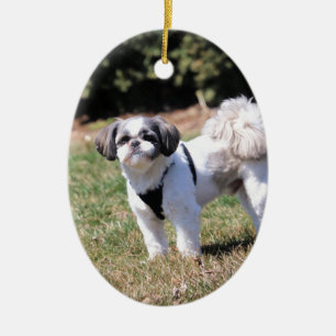 Shih Tzu Julgransprydnad Keramik
