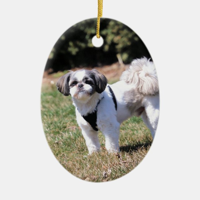 Shih Tzu Julgransprydnad Keramik (Framsidan)