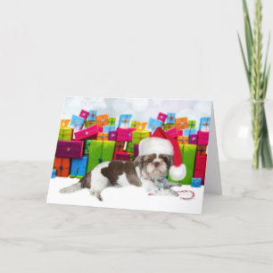Shih Tzu Julhund Kort