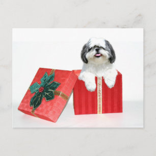 Shih Tzu julklapp Helg Vykort