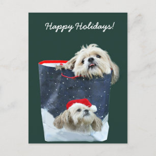 Shih Tzu julklapp Helg Vykort