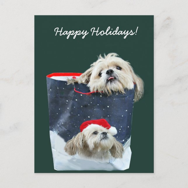 Shih Tzu julklapp Helg Vykort (Framsida)