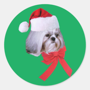 Shih Tzu-julklapp Runt Klistermärke