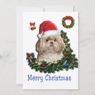 Shih tzu julkort