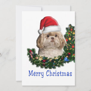 shih tzu julkort