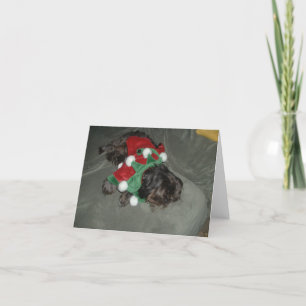 Shih Tzu-julkort Helgkort
