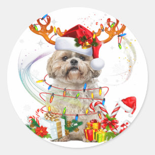 Shih Tzu julrener Jul-Ljus Runt Klistermärke