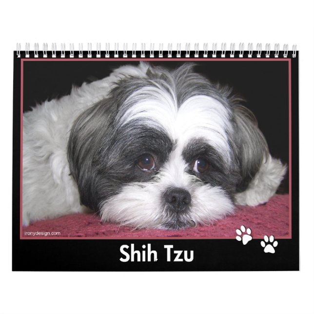 Shih Tzu kalender (Omslag)