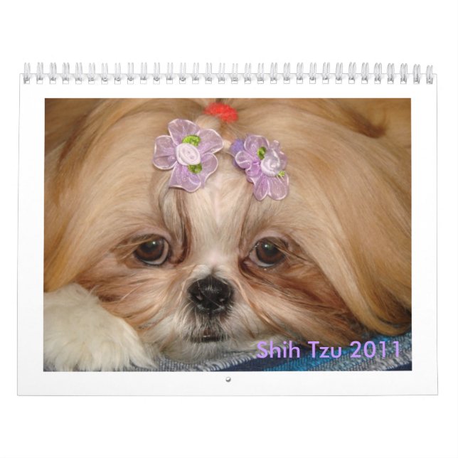 Shih Tzu Kalender (Omslag)