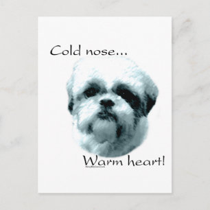 Shih Tzu Kall Nose Warm Heart Vykort