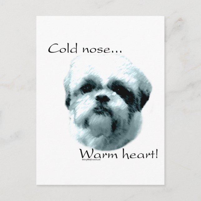 Shih Tzu Kall Nose Warm Heart Vykort (Framsida)