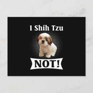 Shih Tzu Kärlek Cute Funny Shih Tzu Meddelande Vykort