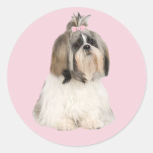 Shih Tzu klistermärke