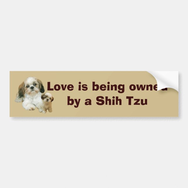 Shih Tzu kompisbildekal Bildekal (Framsidan)