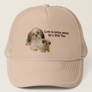 Shih Tzu kompishatt Keps